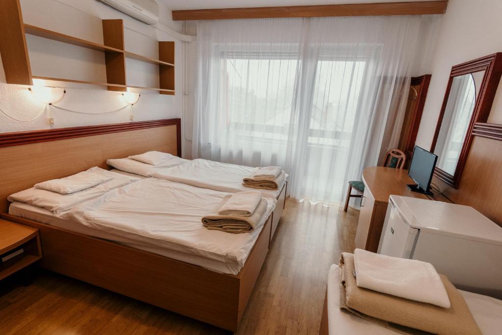 Двухместный (Классический двухместный номер с 1 кроватью или 2 отдельными кроватями) отеля Tisza Sport Hotel, Сегед