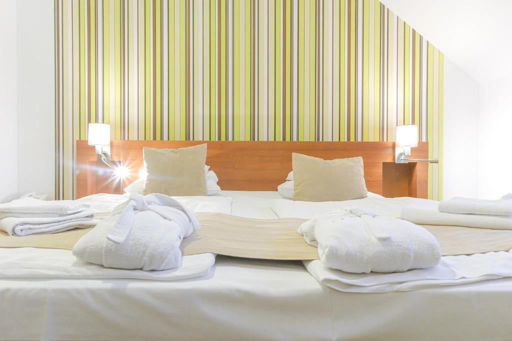 Двухместный (Бюджетный двухместный номер с 1 кроватью) отеля Zenit Wellness Hotel Balaton, Вонярцвашхедь