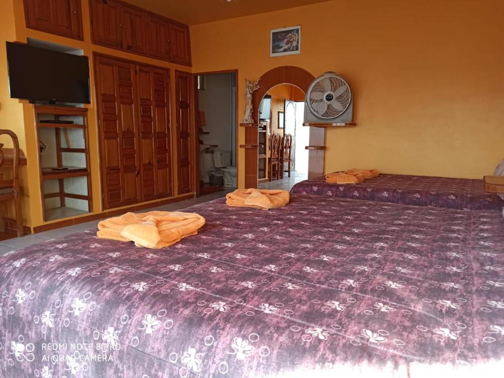 Двухместный (Просторный двухместный номер с 2 отдельными кроватями) отеля Castillo del Rey, Валье-де-Браво