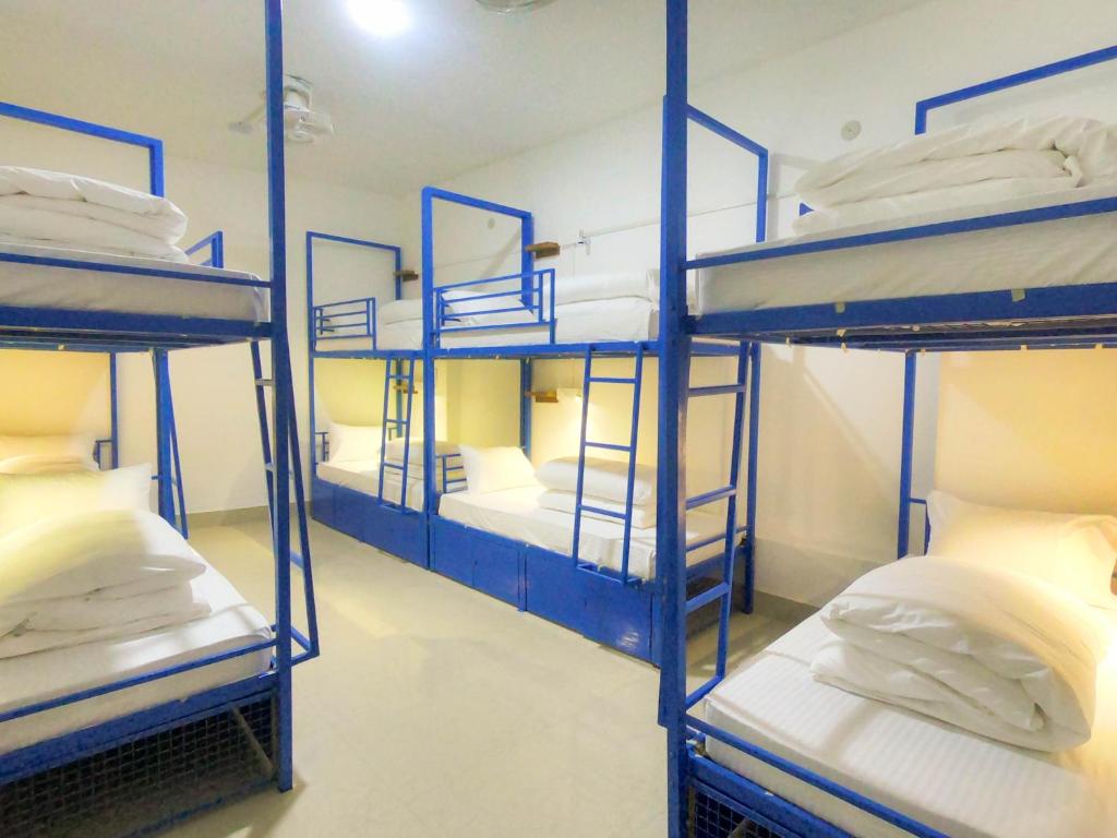 Номер (Кровать в общем номере для мужчин и женщин с 10 кроватями) хостела Live Free Hostel Varanasi, Варанаси