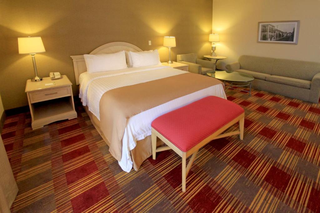 Двухместный (One King Bed With Sofa Bed - Non-Smoking) отеля Holiday Inn Monclova, Монклова