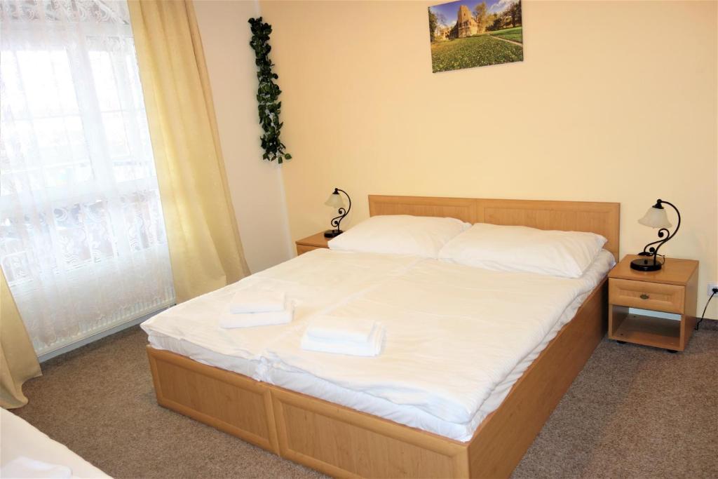 Двухместный (Двухместный номер с 1 кроватью или 2 отдельными кроватями) отеля Zámeček, Микулов
