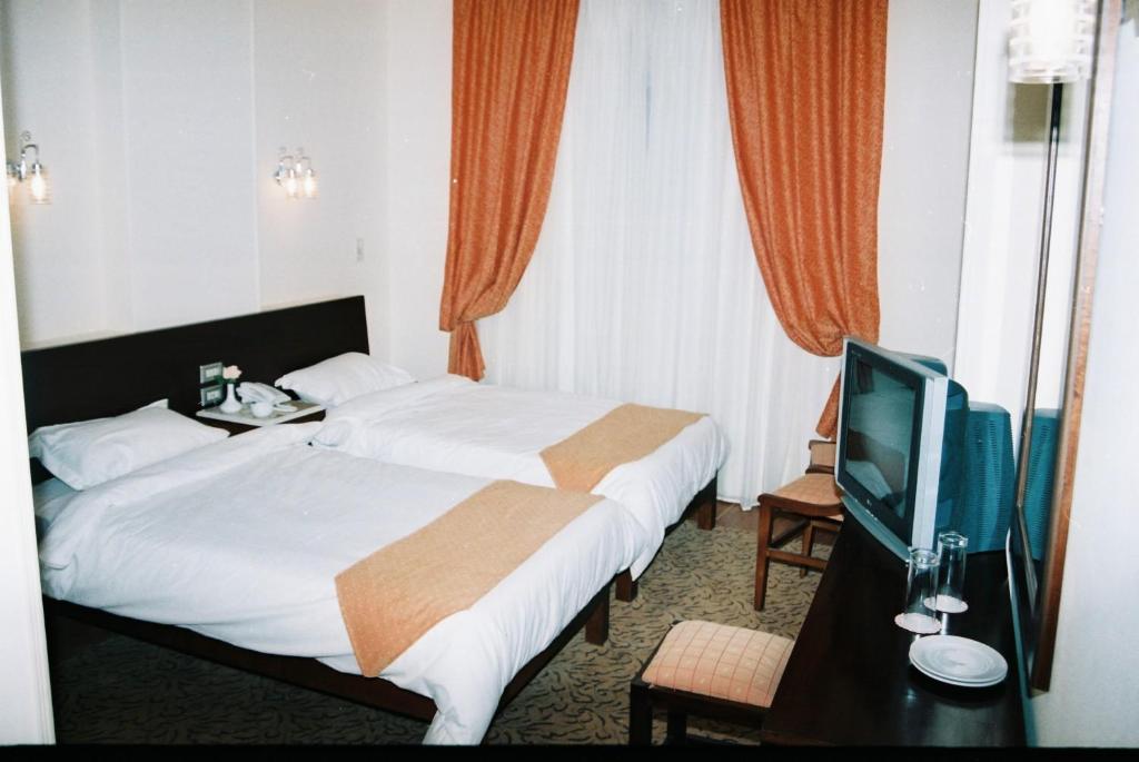 Двухместный (Стандартный двухместный номер 1 кроватью или 2 отдельными кроватями, вид на Нил и храм) отеля Susanna Hotel Luxor, Луксор