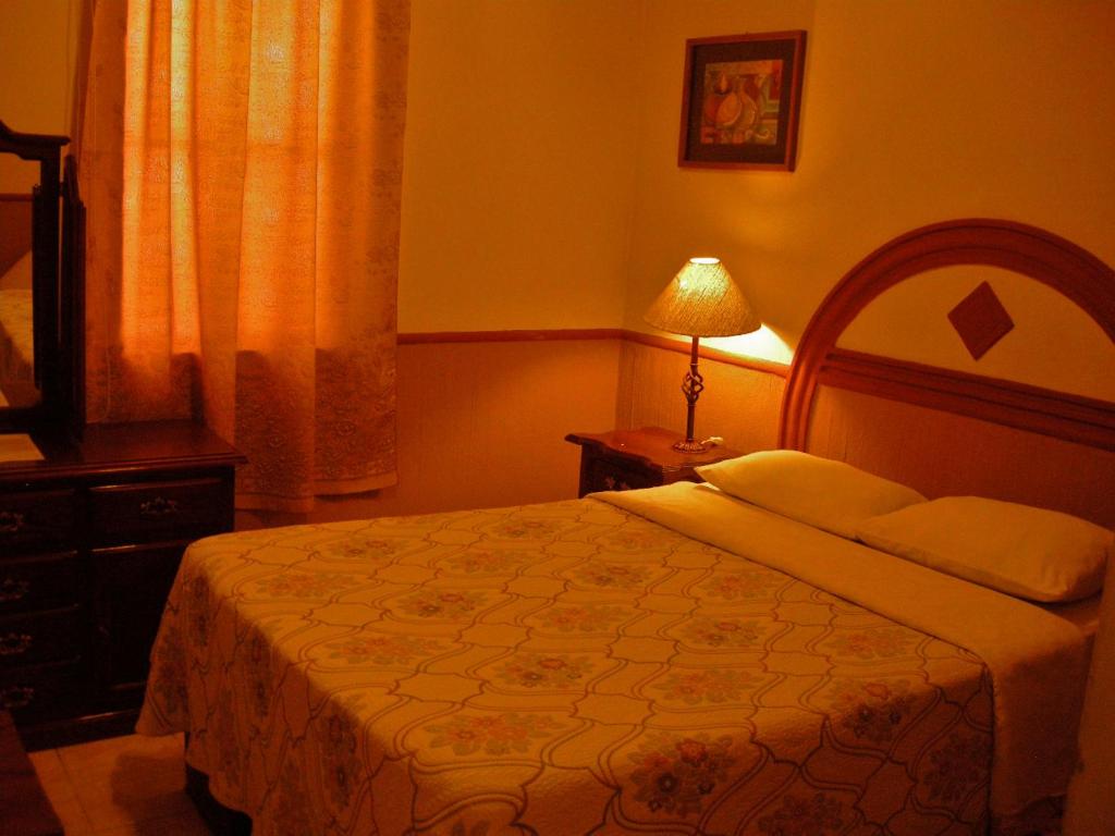 Двухместный (Стандартный двухместный номер с 1 кроватью) отеля Hotel Posada Real, Лагос-де-Морено