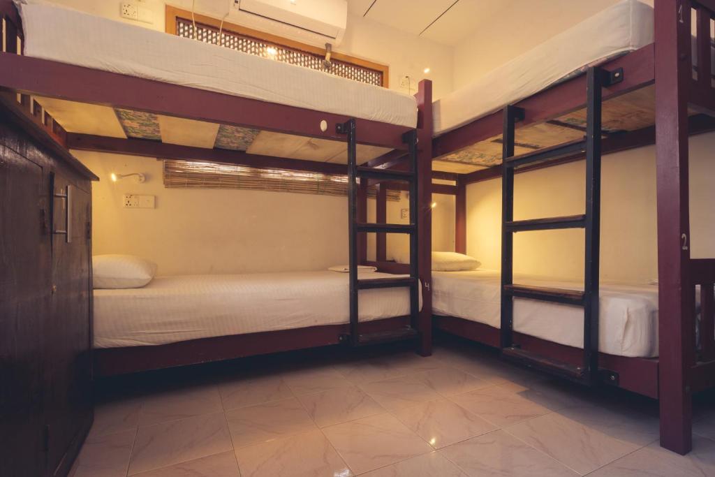 Номер (Кровать в общем 6-местном номере для мужчин и женщин) хостела Beatroot Hostels, Велигама