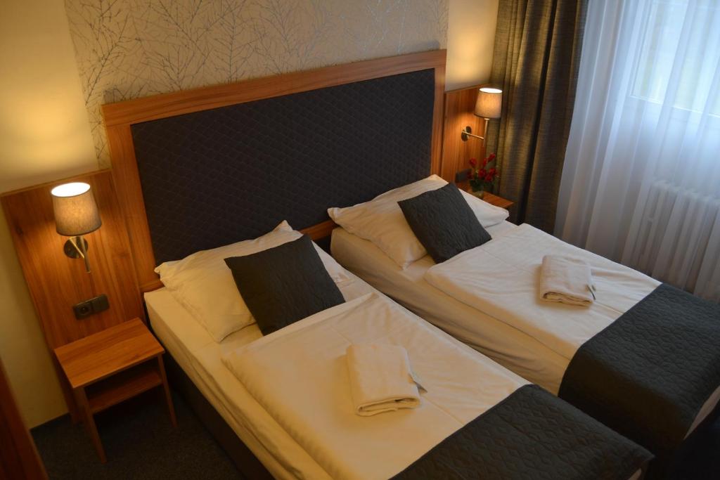 Двухместный (Двухместный номер с 1 кроватью или 2 отдельными кроватями с видом на реку) отеля Bohemians, Прага