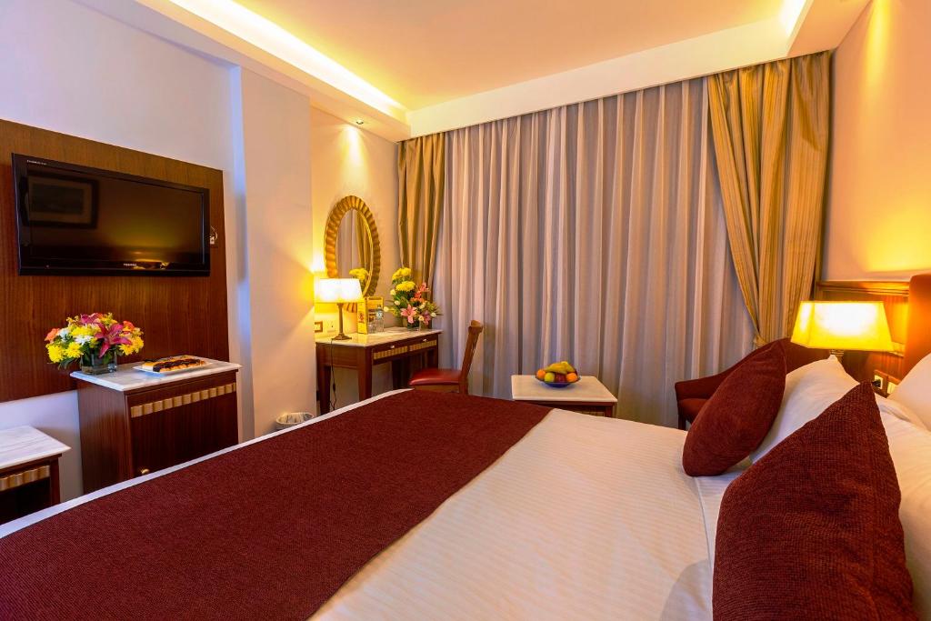 Двухместный (Стандартный двухместный номер с 1 кроватью и видом на город) отеля Golden Tulip Hotel Flamenco Cairo, Каир