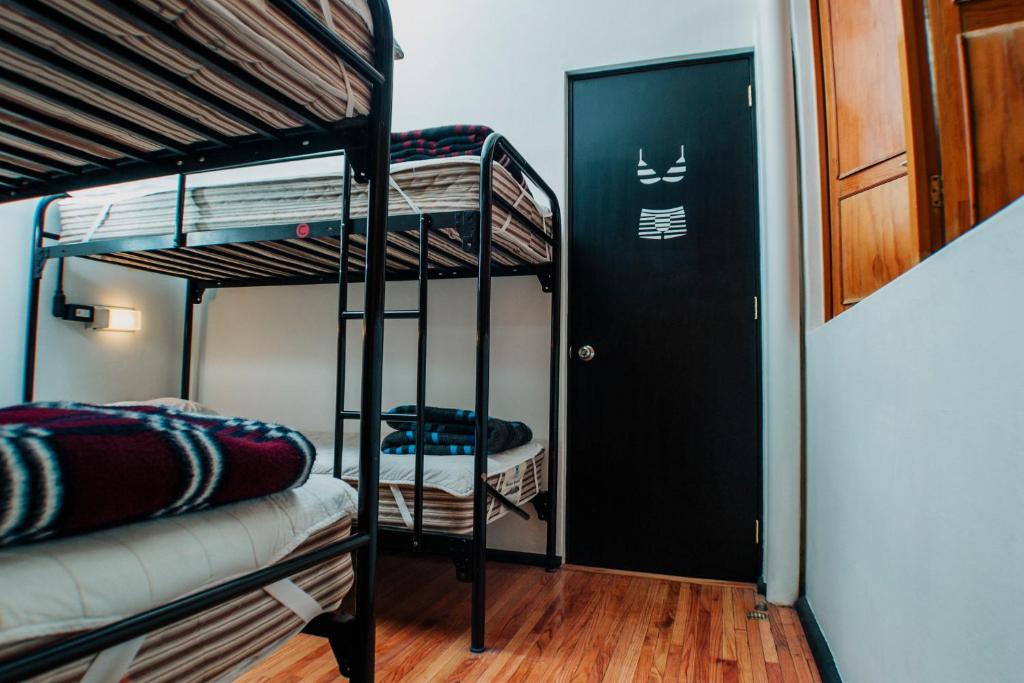 Номер (Спальное место в общем номере для женщин с 4 кроватями и общей ванной комнатой) хостела Hostel Mundo Joven Catedral, Мехико