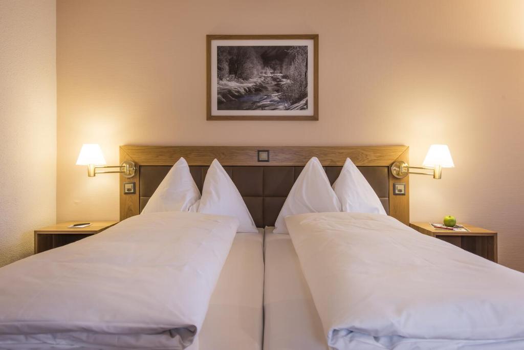 Двухместный (Бюджетный двухместный номер с 1 кроватью) отеля Sunstar Alpine Hotel & SPA Davos, Давос