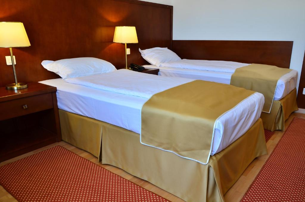 Двухместный (Двухместный номер с 2 отдельными кроватями) отеля Hotel Miraj, Рымнику-Вылча