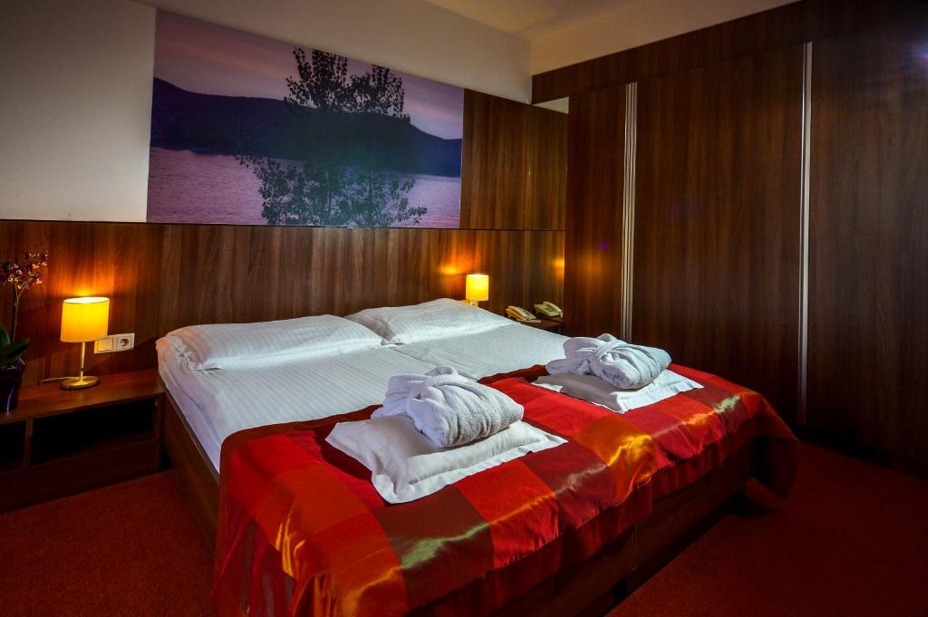 Двухместный (Стандартный двухместный номер с 1 кроватью или 2 отдельными кроватями) отеля Royal Club Hotel, Вишеград