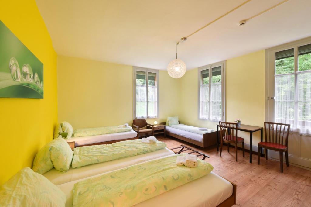 Четырехместный (Четырехместный номер с общей ванной комнатой) хостела Budget Waldhotel Unspunnen, Интерлакен