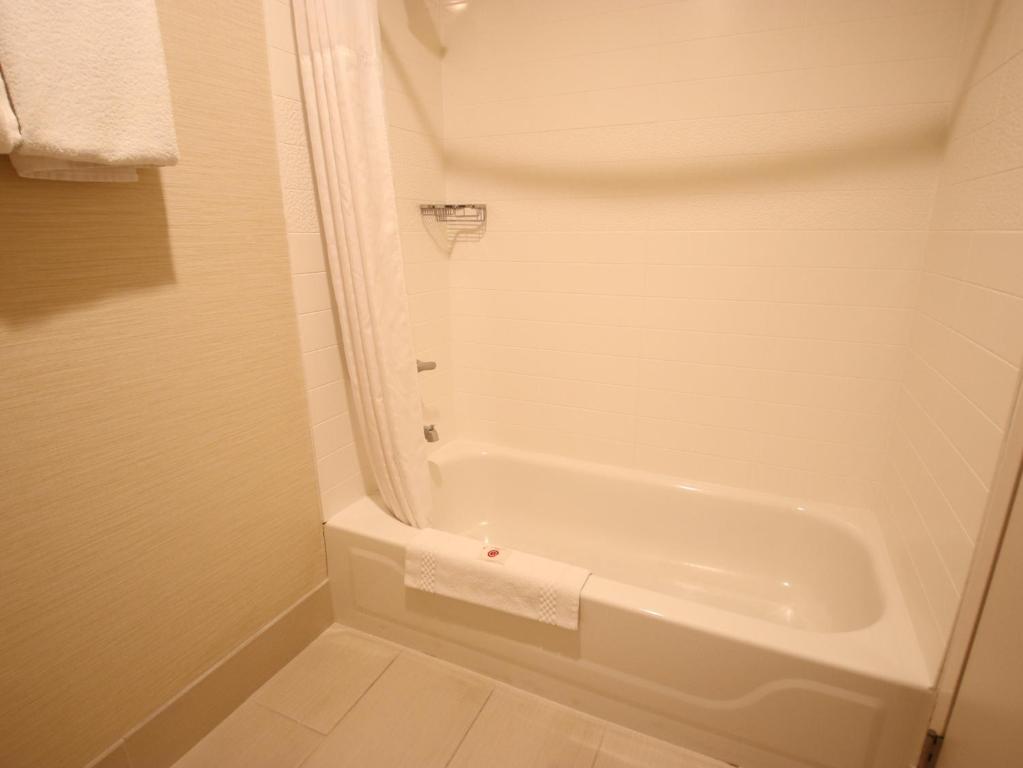 Трехместный (Номер с кроватью размера «king-size») отеля Comfort Inn & Suites North Dallas-Addison, Даллас