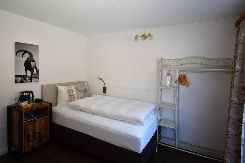 Одноместный (Economy Single Room with Village View) отеля Hotel Cabana, Гриндельвальд