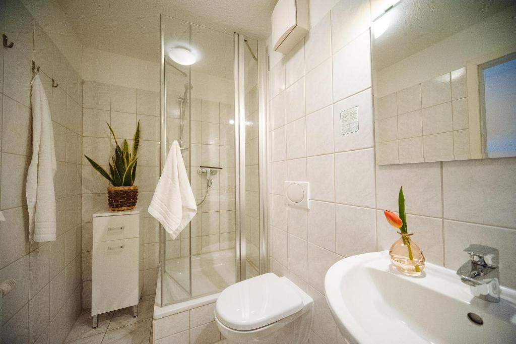 Одноместный (Одноместный номер), Apartmenthotel Kaiser Friedrich