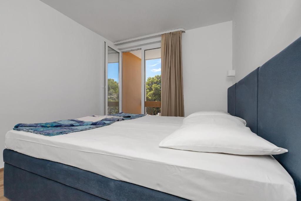 Двухместный (Двухместный номер эконом-класса с 1 кроватью или 2 отдельными кроватями) отеля Hotel Alem, Башка-Вода