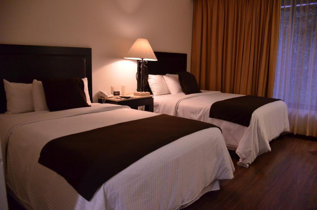 Двухместный (Стандартный двухместный номер с 1 кроватью) отеля Hotel Gobernador, Дуранго