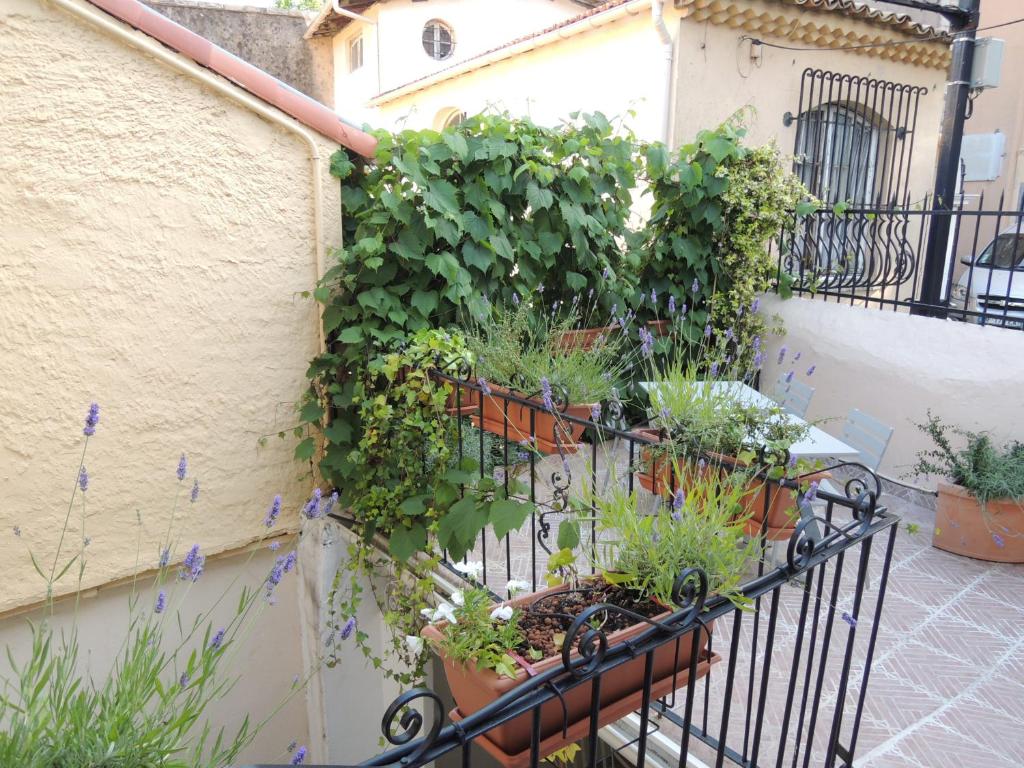 Студио (Номер-студио: Montchevalier, 7), ACCI Cannes Old City