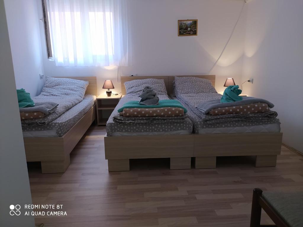 Четырехместный (Четырехместный номер с собственной ванной комнатой) гостевого дома Guest House Vila Banjica, Пирот