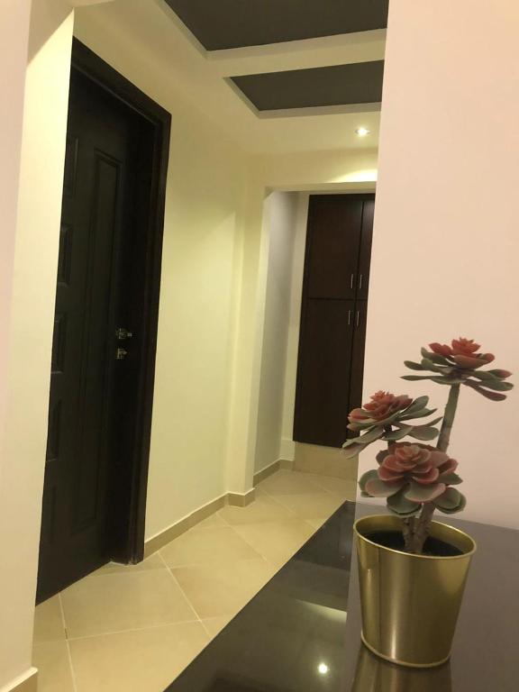 Апартаменты (Апартаменты с 2 спальнями), Elite Suites Hurghada