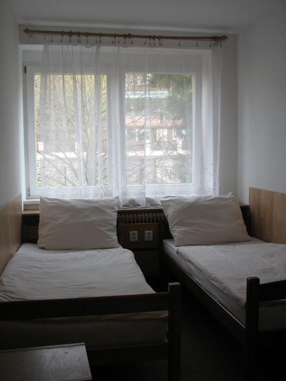 Двухместный (Двухместный номер с 2 отдельными кроватями), Hostel Sokol Troja