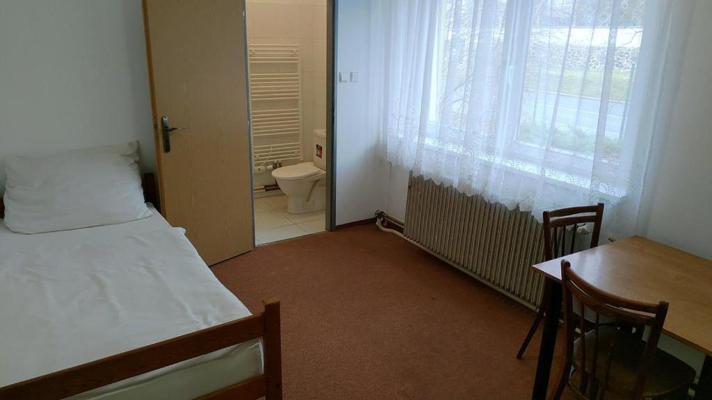 Одноместный (Одноместный номер с собственной ванной комнатой) хостела Hostel Sokol Troja, Прага