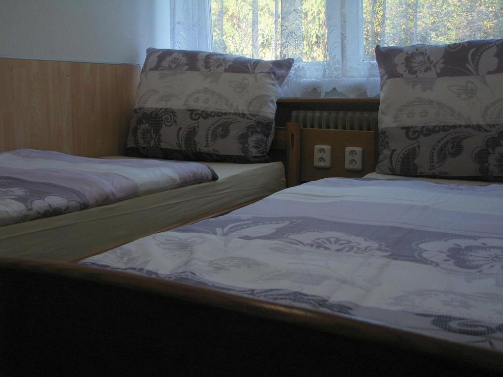 Двухместный (Двухместный номер с 2 отдельными кроватями) хостела Hostel Sokol Troja, Прага