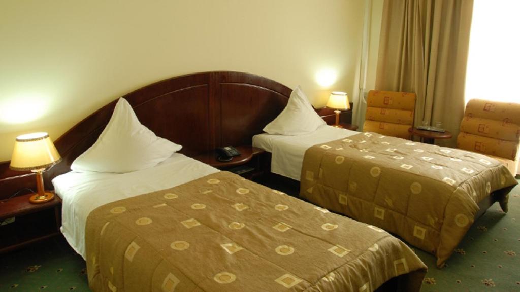 Двухместный (Двухместный номер с 2 отдельными кроватями) отеля Hotel Delta 3, Тулча
