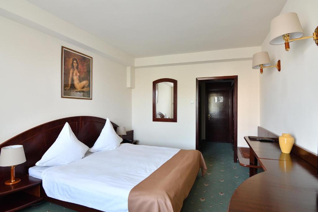 Двухместный (Двухместный номер с 1 кроватью и балконом) отеля Hotel Delta 3, Тулча