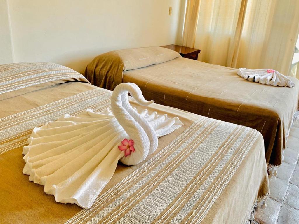 Двухместный (Двухместный номер с 2 двуспальными кроватями) отеля Hotel Cordelia's, Пуэрто-Анхель