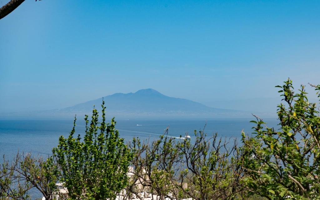 Вилла (Вилла Делюкс), CAPRI TIBERIO'S DREAM