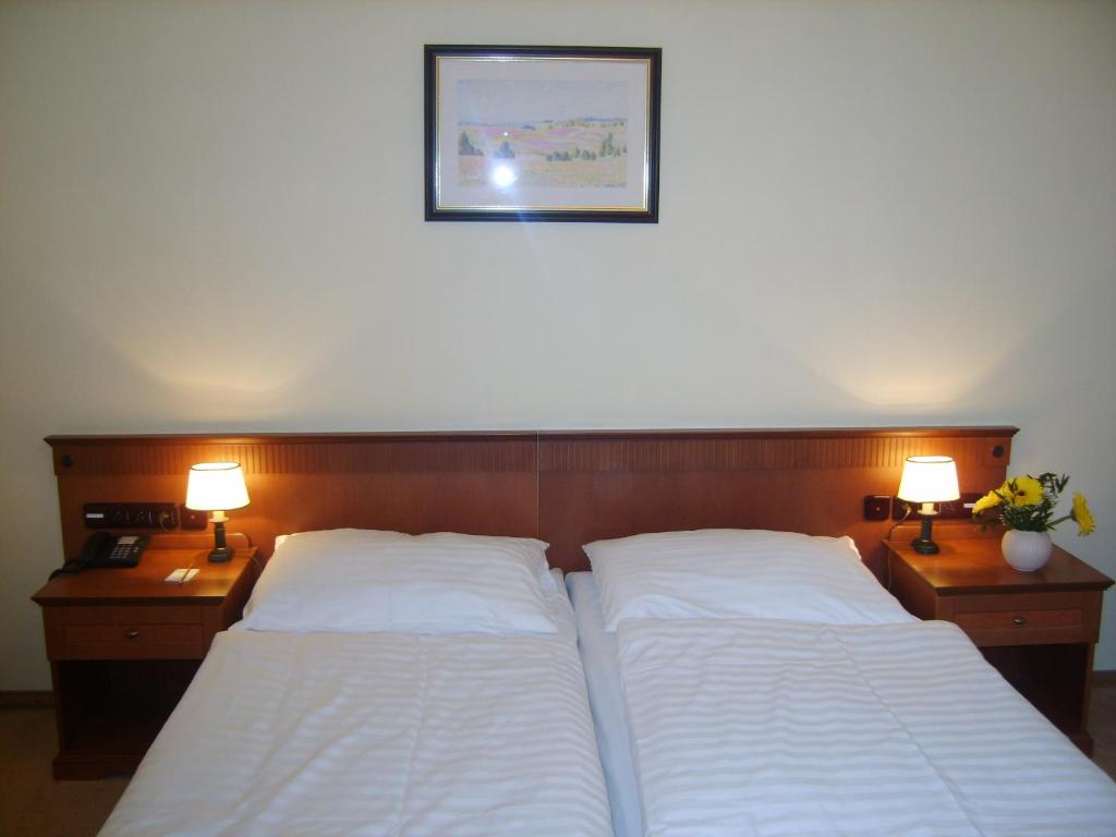 Двухместный (Стандартный двухместный номер с 1 кроватью и пакетом спа-услуг) отеля Parkhotel Richmond, Карловы Вары