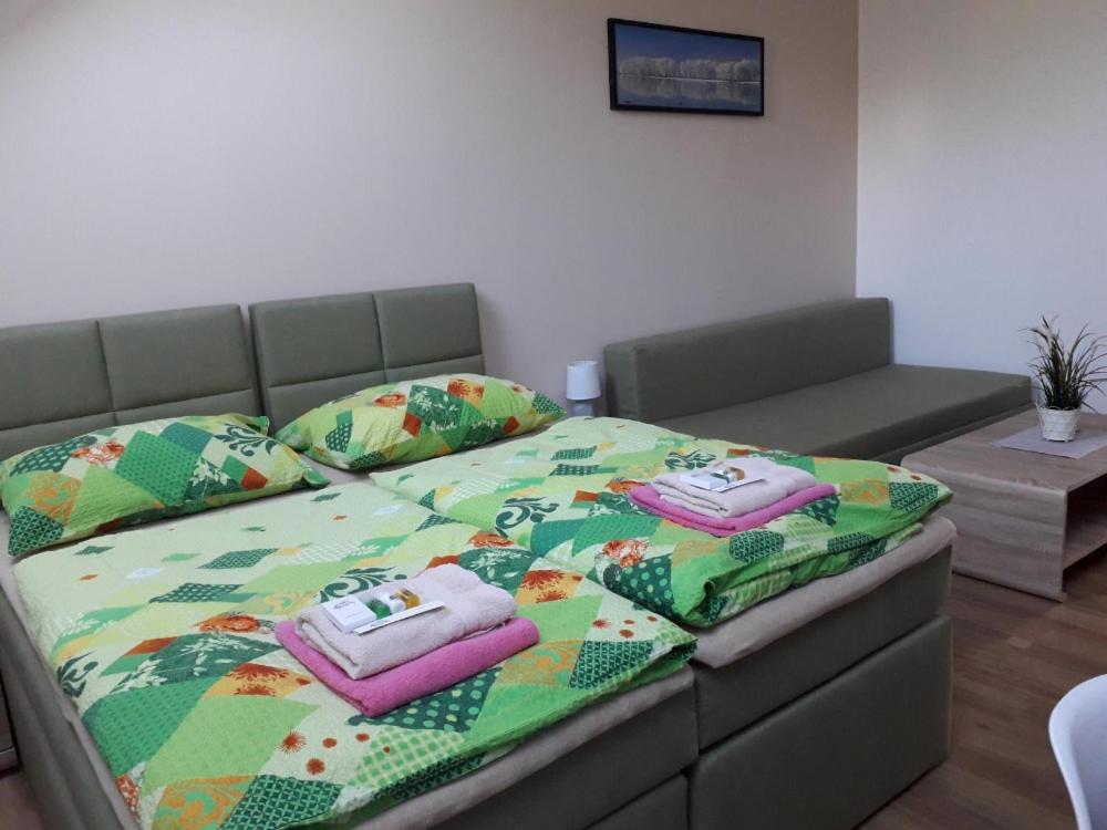 Двухместный (Двухместный номер с 1 кроватью или 2 отдельными кроватями) гостевого дома Penzion Na Hrazi, Подебрады