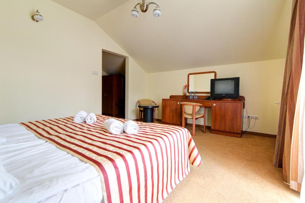 Двухместный (Большой двухместный номер с 1 кроватью или 2 отдельными кроватями) апартамента Hotel Renesans Крыница