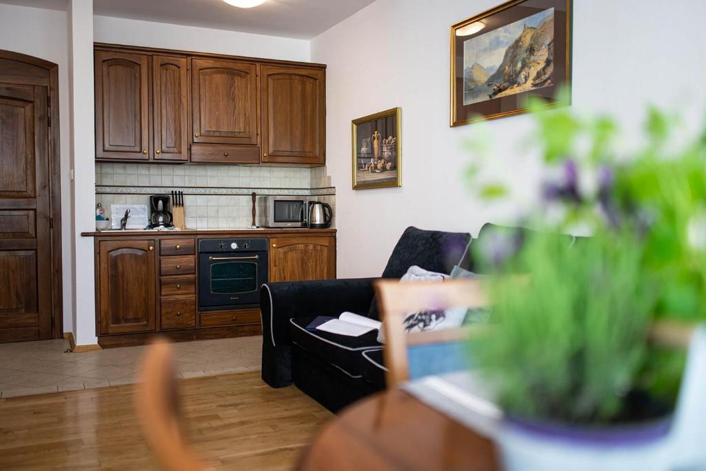 Сьюит (Люкс), EuroResidence Apartament Home