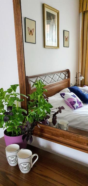 Сьюит (Люкс), EuroResidence Apartament Home