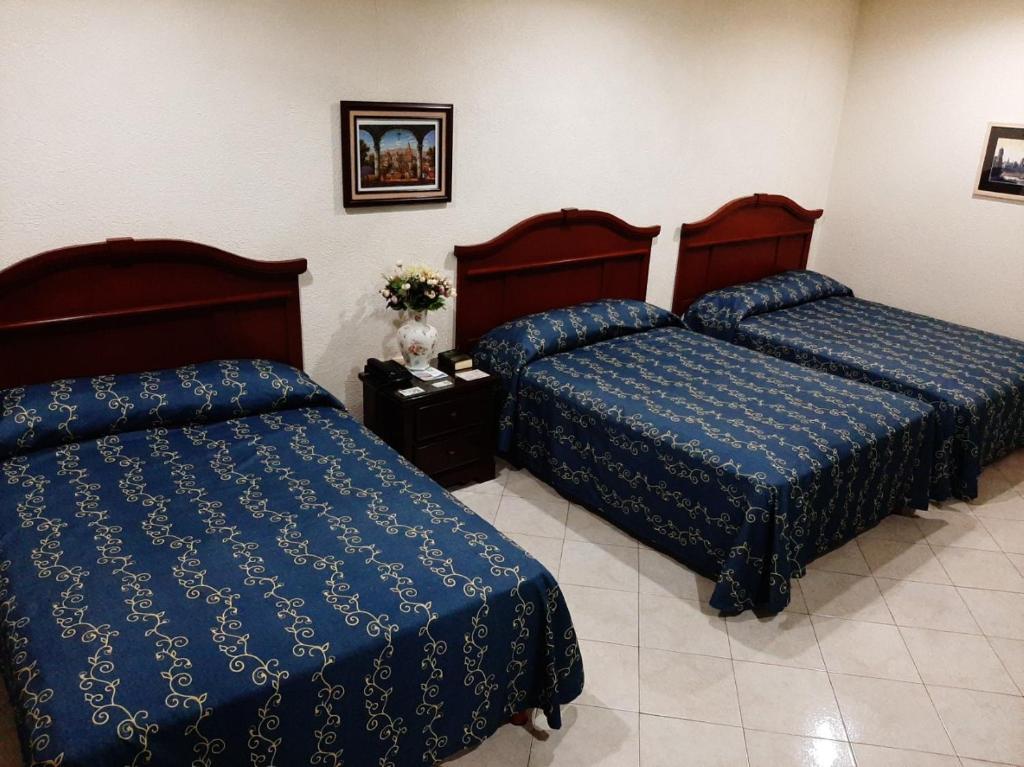 Двухместный (Двухместный номер с 1 кроватью) отеля Novotel, Поса-Рика-де-Идальго