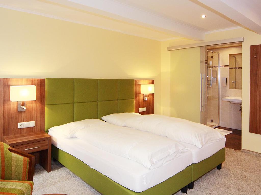 Двухместный (Двухместный номер с 1 кроватью или 2 отдельными кроватями и террасой) отеля Hotel Goldener Adler, Линц