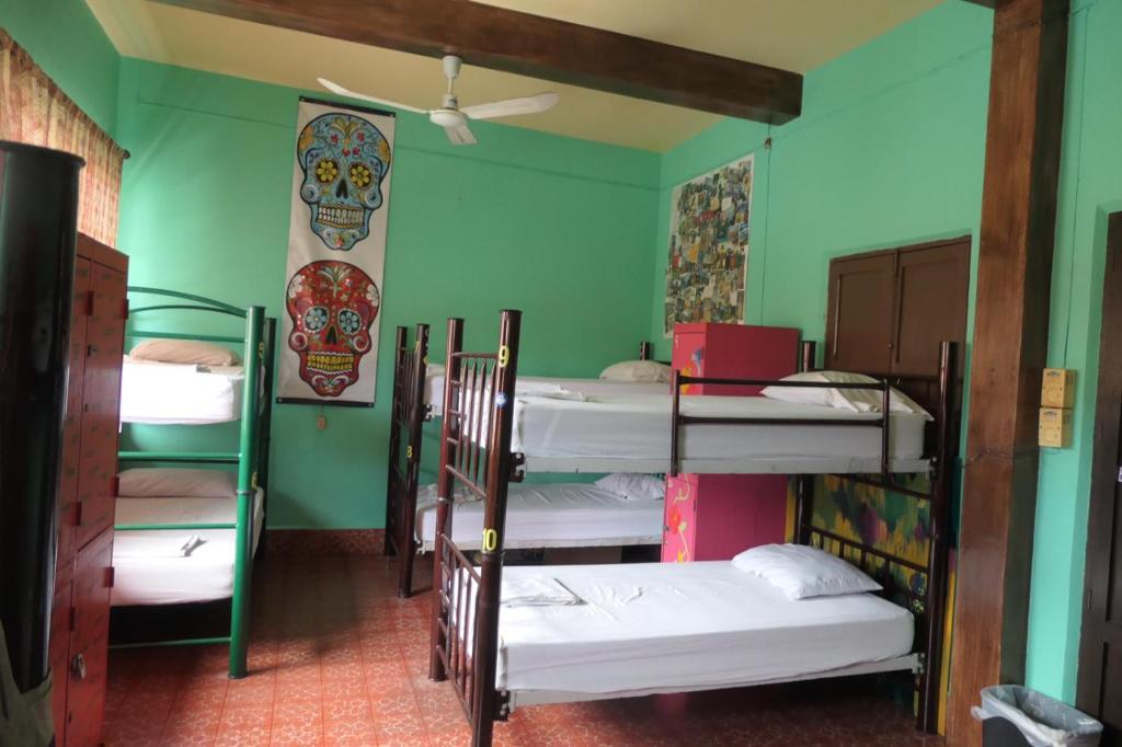 Номер (Односпальная кровать в общем номере для женщин) хостела Casa Kraken Hostel, Пуэрто-Вальярта