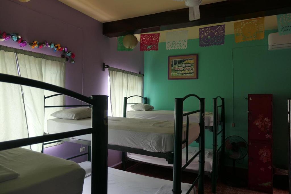Номер (Односпальная кровать в общем номере для мужчин и женщин) хостела Casa Kraken Hostel, Пуэрто-Вальярта