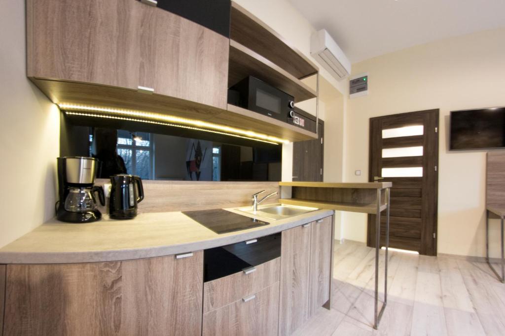 Студио (Deluxe Studio Apartment - Mickiewicza Street), Yourplace Central Apartments