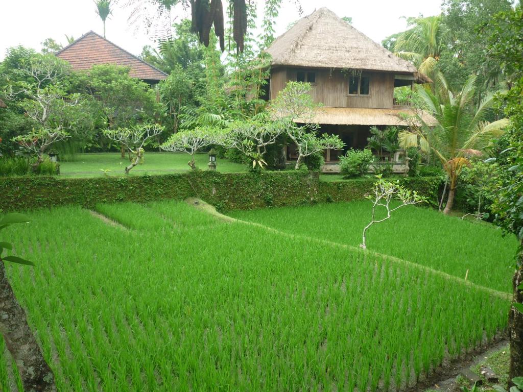 Двухместный (Номер Делюкс Rice с видом на поле), Ananda Ubud Resort