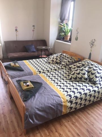 Двухместный (Двухместный номер с 1 кроватью или 2 отдельными кроватями) гостевого дома Penzion Willa, Йиглава