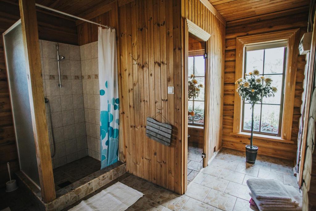 Номер (Коттедж Lux Sauna), Guest House Baltās Dūjas