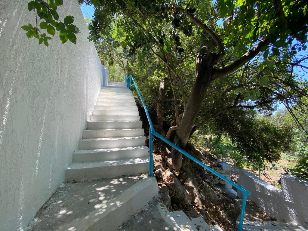 Трехместный (Трехместный номер с террасой), Oleander's Garden Traditional Cretan Cottage