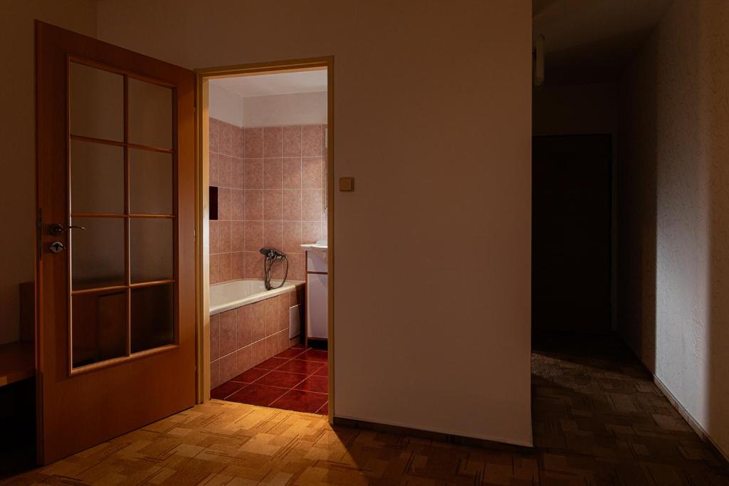 Двухместный (Двухместный номер «Комфорт» с 1 кроватью или 2 отдельными кроватями) отеля Slezan, Брунталь