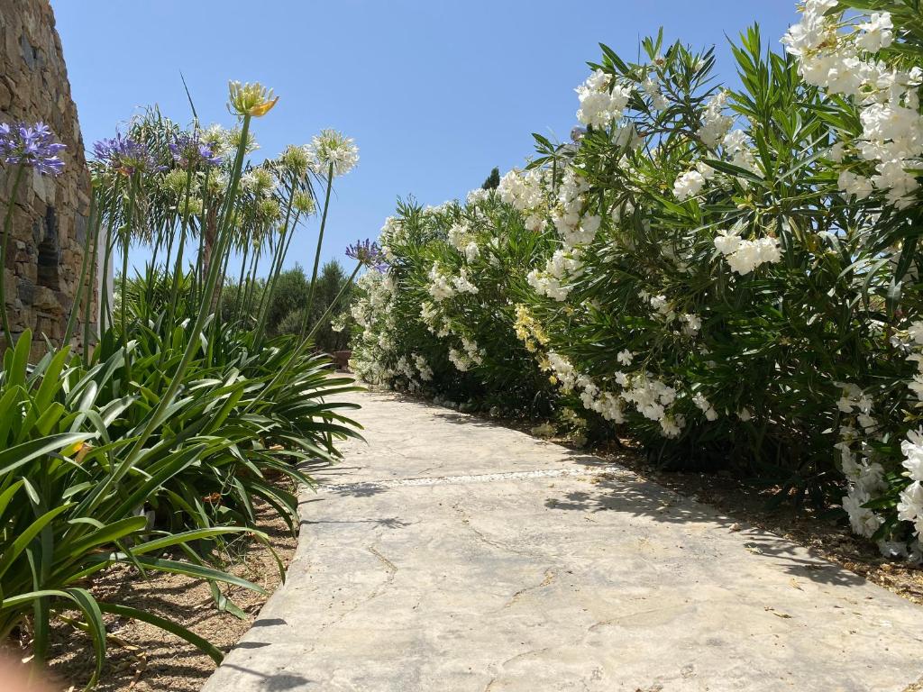 Вилла (Вилла Делюкс), Seaside Naxos | Holiday Villas