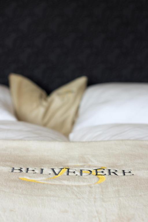 Двухместный (Стандартный двухместный номер с 1 кроватью) отеля Hotel Belvedere, Фис