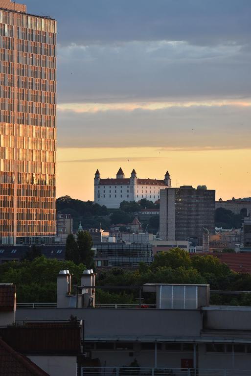 Двухместный (Двухместный номер с 1 кроватью и террасой), Apollo Hotel Bratislava