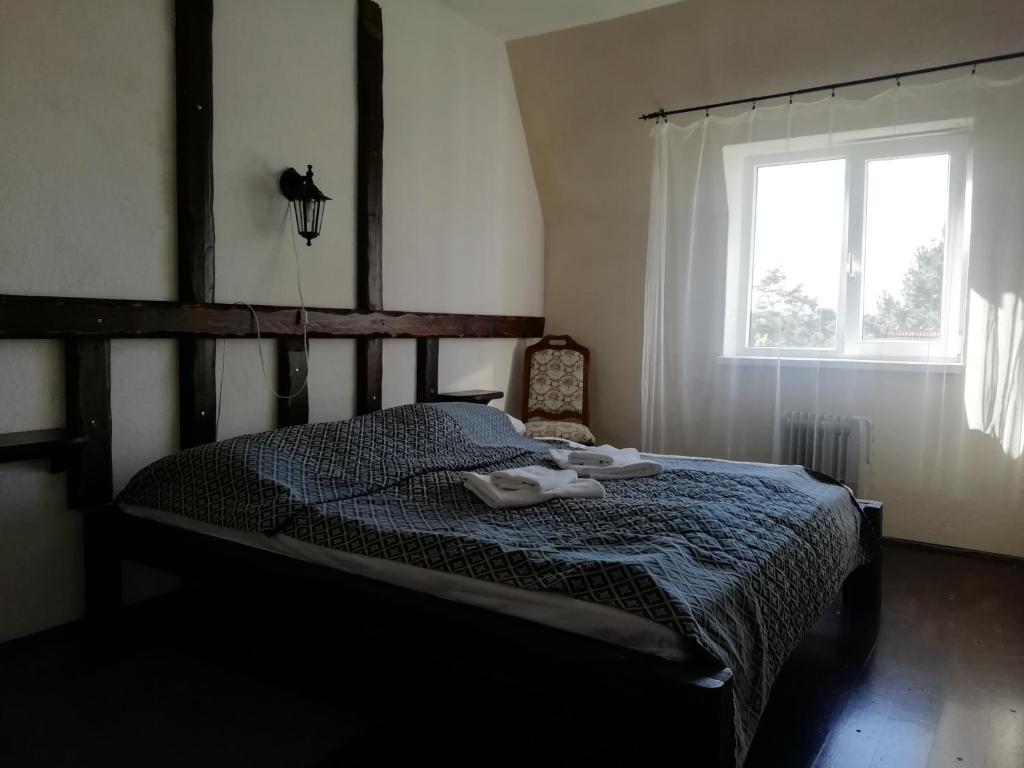 Двухместный (Двухместный номер эконом-класса с 1 кроватью) гостевого дома Villa Andy, Прага